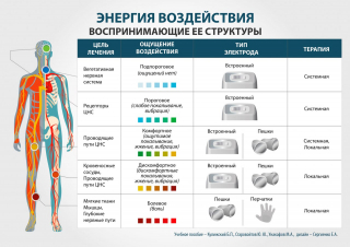 СКЭНАР-1-НТ (исполнение 01)  в Улан-Удэ купить Медицинская техника - denasosteo.ru 